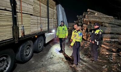 Trucul prin care Poliția a făcut să apară un transport de lemne în acte. Un TIR a fost confiscat