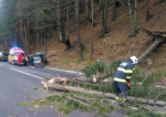 Ghinion pe șosea: Un copac s-a prăbușit peste o mașină cu 5 copii, între Bistriţa și Vatra Dornei