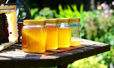Mierea ucraineană îi falimentează pe apicultorii români