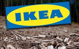 Pădurile naturale din România ajung mobilă IKEA în 13 țări europene